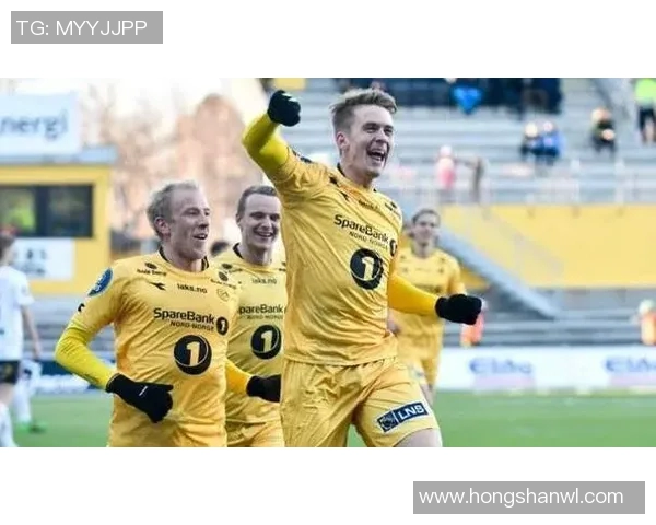 奥德与布兰的精彩对决赛程安排及赛事分析一览