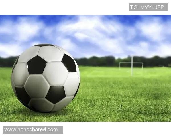 托尔斯与林菲尔德的激烈对决揭示足球战术的博弈与魅力