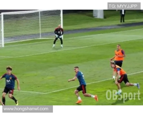 欧洲杯激战瑞典对决法国谁能在绿茵场上笑傲群雄