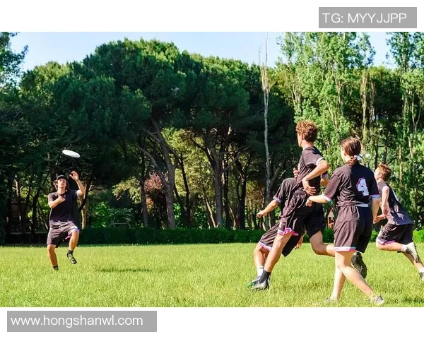 飞盘飞扬北京飞盘队的拼搏与荣耀之路探索极限运动的无限可能