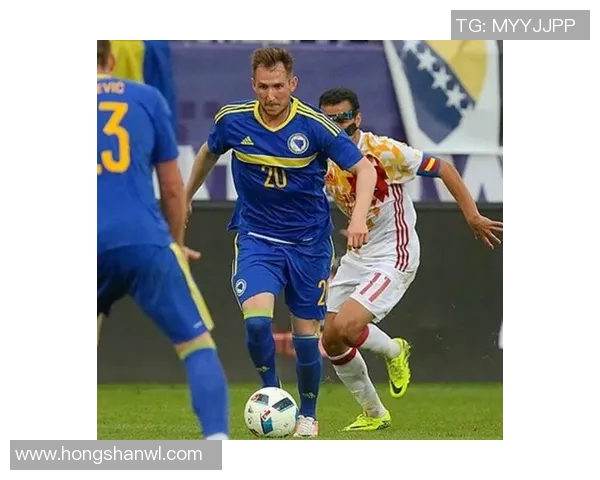 韩国与波黑比赛场地具体位置及相关信息详解