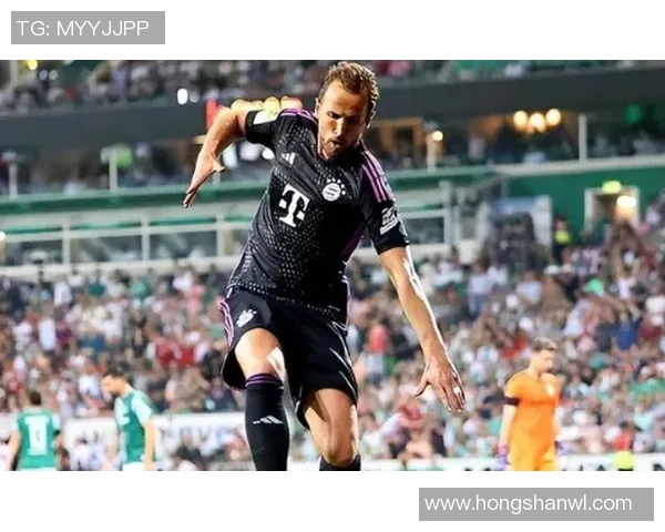 不莱梅与沙克尔激战正酣谁能在德甲赛场上笑到最后 不莱梅与沙克尔激战正酣谁能在德甲赛场上笑到最后