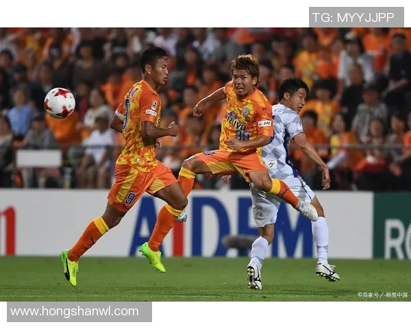 冈山对阵甲府山林精彩直播全程回顾与赛后分析